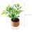 4Pcs Miniature Mini Potted Plants Artificial Tiny House Decorations 9