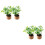 4Pcs Miniature Mini Potted Plants Artificial Tiny House Decorations 7