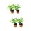 4Pcs Miniature Mini Potted Plants Artificial Tiny House Decorations 8