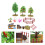4Sets Assorted Color Miniature Farmhouse and Fruit Tree Resin Model 7