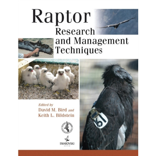 Raptor Research and Management Techniques Paperback Book