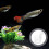 3Pièces Transparent De Nourrissage Accessoire Aquarium 11