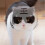 Clear Plastic Cat Bubble Pet Grooming Restraint Muzzle 5