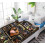 Rottweiler tæppe 50x60 tommer – blød polyester 5