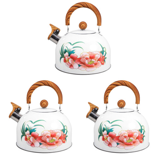 3Pcs Anti-Scald Handle Stainless Steel Home Tea Kettle White 2