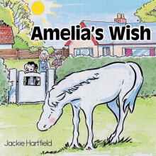 Amelias Wish by Jackie Hartfield Paperback Book