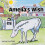 Amelias Wish by Jackie Hartfield Paperback Book 1