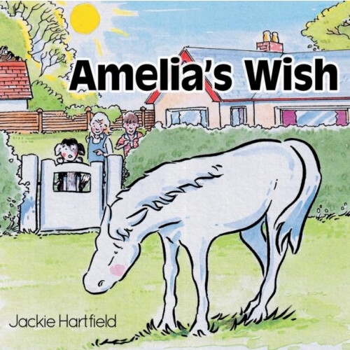 Amelias Wish by Jackie Hartfield Paperback Book