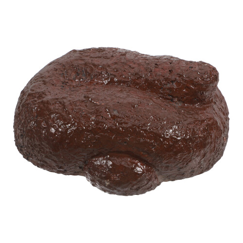5Pcs Coffee Plastic Key Hiding Boxes Outdoor Realistic Poop Protector