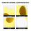 2Pcs Yellow Shell-Shaped Ceramic Hamster House Pet Nest for Small Pets 9