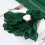 Χαρτοπετσέτες Campsite Green Cheesecloth 21x21in, σετ 12 τεμαχίων 5