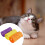 Cat Tunnel Toy with Scratcher 1 Pack 6
