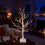 2FT Mini Twig Christmas Tree White Birch LED Tabletop Xmas Home Decor 2