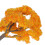 Dekorative Orange Modell Bäume Für Und Landschaft 6