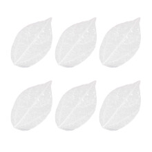 18Pcs White Leaf Vein Specimens for Craft Projects and Greeting Cards