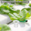 10Pcs White Plastic Hydroponic Grow Baskets for Indoor Systems 6