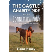 The Castle Charity Ride and the Connemara Pony The Coral Cove Horses S