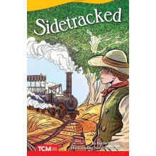 Sidetracked by Bettie Boswell Paperback Book