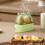 Xqxayjr Automatic Egg Cooker with Auto Shut-off – Compatible with Dorm & Kitchen Use 5