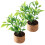 10Pcs Tiny Miniature Plants Artificial Potted Flowers for Desk Decor 1