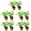 10Pcs Tiny Miniature Plants Artificial Potted Flowers for Desk Decor 8