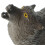 3Pcs Dark Brown Plastic Wolf Figurines for Kids Durable Wildlife Decor 8