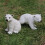 48Pcs Miniature Arctic Animal Toys White Durable Plastic Bear Wolf Set 11