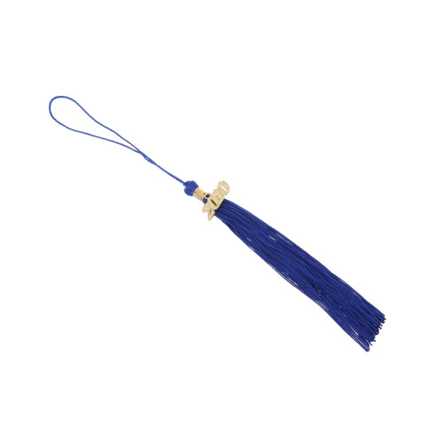 3Pcs Blue Graduation Tassels with 2020 Charm Durable Polyester Pendant 1