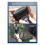 Handheld Quick-Release Handle for  Ace Pro 2 Ergonomic Grip W/H Wrist Strap Expansion Frame Fixing for Vlogging 8