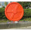 调用 AI 接口失败: Connection error. Ref: 7416 3
