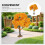 Orange Mini Plastic Trees for Train Scenery and Diorama Crafting 7