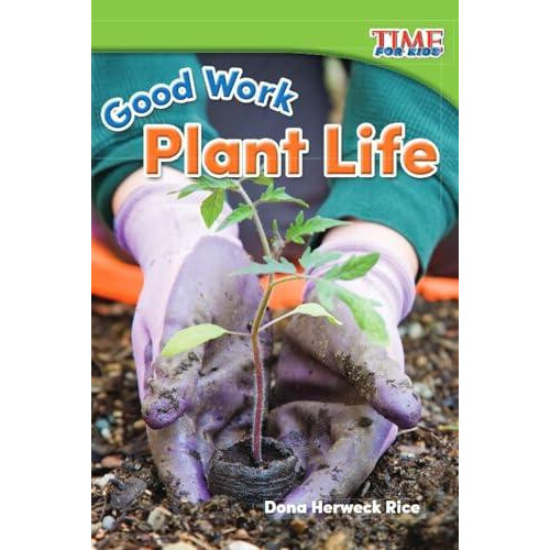 Good Work by Dona Herweck Rice Paperback Book