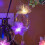 LED Flower String Lights 1.5m 10-Flower Battery Powered 5