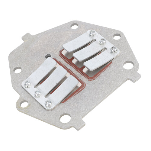 Außenborder-Einlassventilbaugruppe 9,8 PS 2-Takt Aluminium/Eisen 1