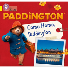 Paddington Come Home Paddington by Rebecca Adlard Paperback Book