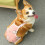 Couches lavables pour chienne, culottes en coton, taille XL 5