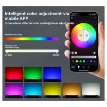100W RGBCW LED Flood Light APP Remote Control Floodlight Outdoor Garden Lamp Decorative Wall Spotlight EU Plug