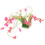 2Pcs Ceramic Aquarium Simulated Grass Decor For Fish Tank Landscape 1