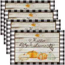 4er-Set Tischsets mit Kürbismotiv (30 x 45 cm) – Herbstliche Tischsets für Kinder, Thanksgiving, für drinnen und draußen,