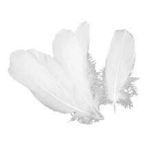 300Ud Plumas Naturales Blancas Para Adornos Y Fiesta