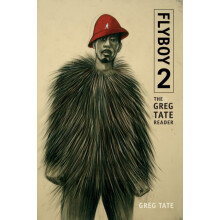 Flyboy 2 by Greg Tate Paperback Book