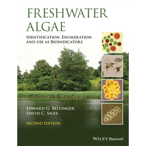 Freshwater Algae by Edward G. Bellinger Hardcover Book