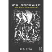Visual Phenomenology by Erika Goble Paperback Book