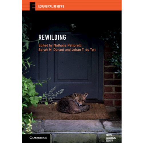 Rewilding Paperback Book
