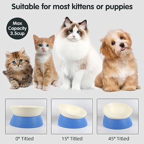 Μπολ Bulldog Αντιολισθητικό για σκύλους και γάτες Αποσπώμενο λαστιχένιο μπολ για 2