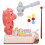 2Set Gioco Martello Bambini Multifunzione Assortiti Interattivo 1