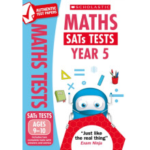 Maths Tests Ages 910 by Paul Hollin Paperback Book