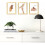Gold Picture Frame Set 5 pcs 8.5x11 with 6x8 Mat 2