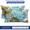 Conjunto de 2 capas de almofada de linho com bolinhas pretas, 45x45cm (18x18 polegadas). 3