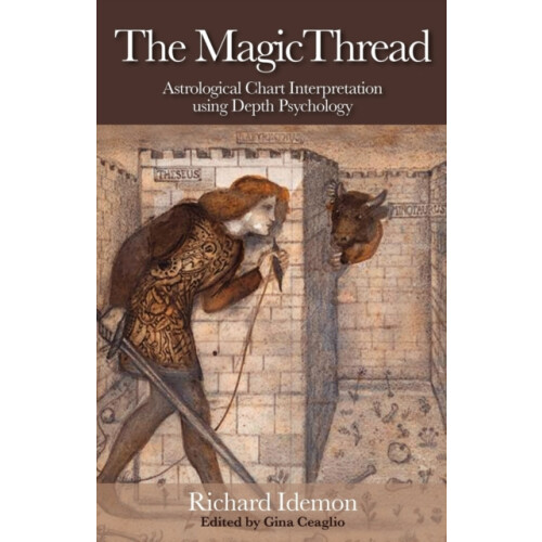 Magic Thread by Richard Idemon Paperback Book